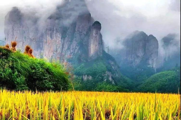 幻想纹章3.1